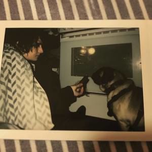 Meet your Posher, Brandon